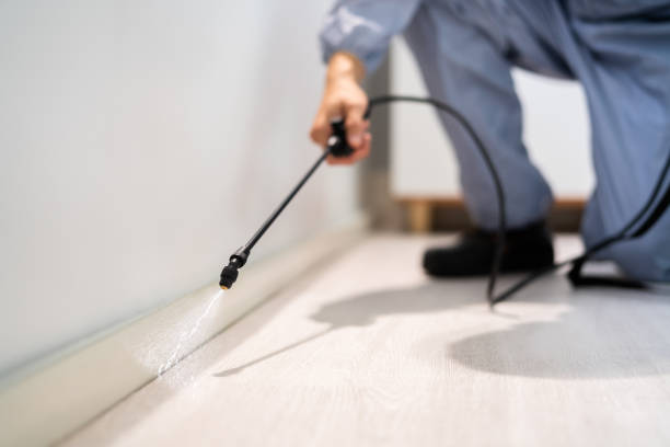 Licensed Termite Control service in Marshall, MO - Nex Pest Control