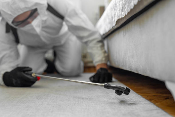 Professional Termite Control technician working in Marshall, MO