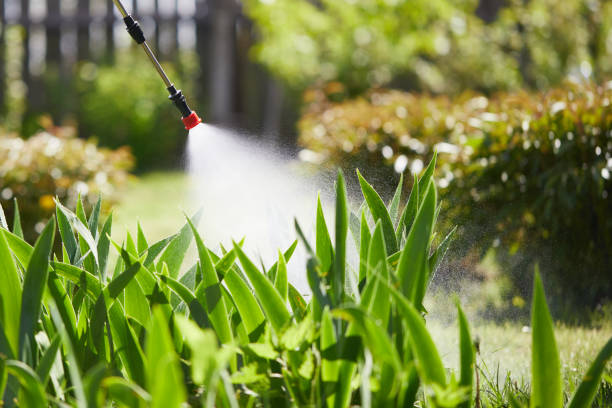 24/7 Emergency Termite Control experts in Marshall, MO