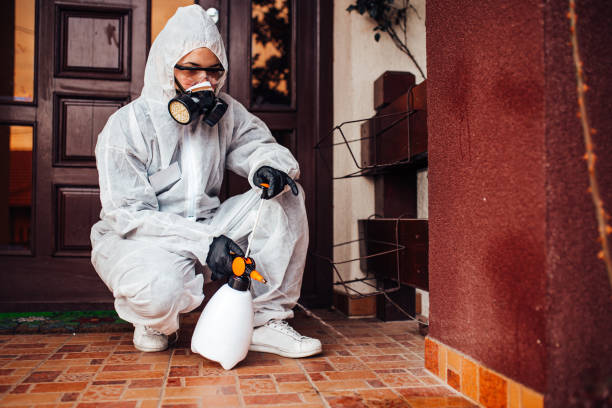Reliable Termite Control contractor in Marshall, MO by Nex Pest Control